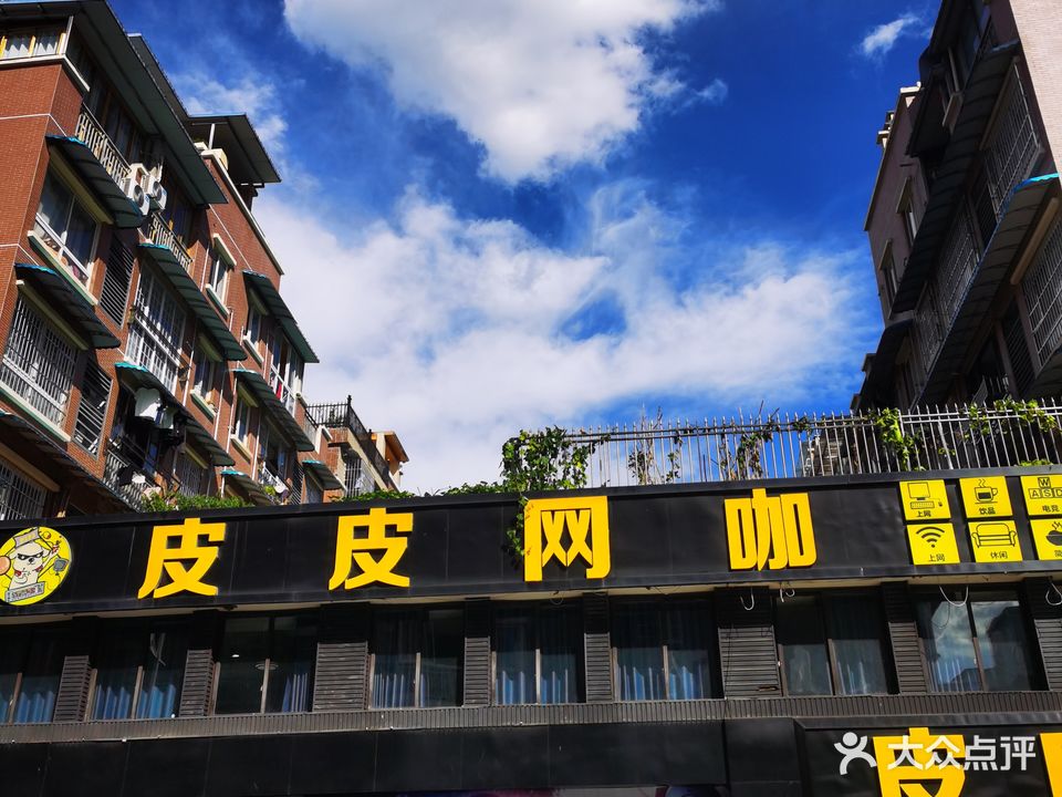 皮皮网咖