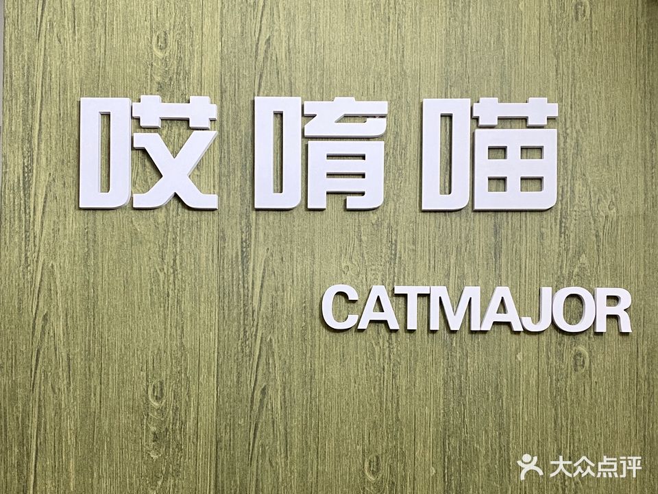 哎唷喵CATMAJOR(金涛店)