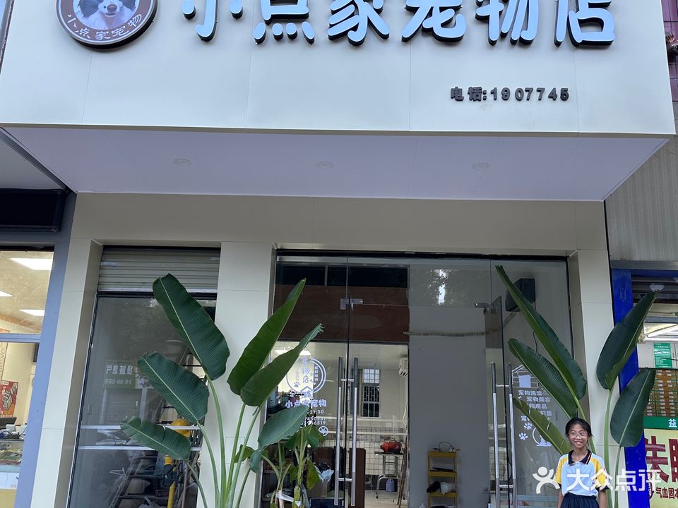 小点家宠物店