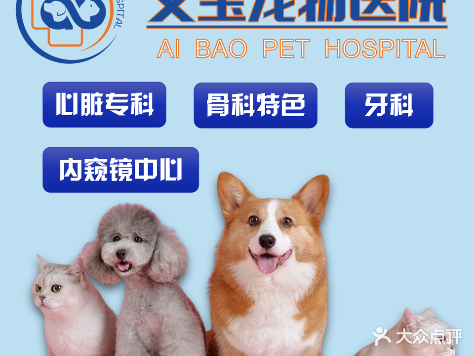 艾宝宠物医院·心脏专科·骨科特色·内窥镜中心