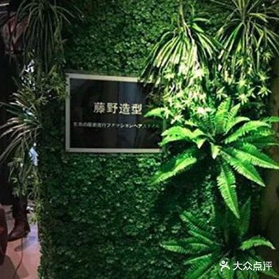 藤野造型(广州路香樟印象店)