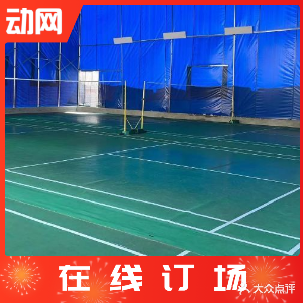 椰风羽毛篮球