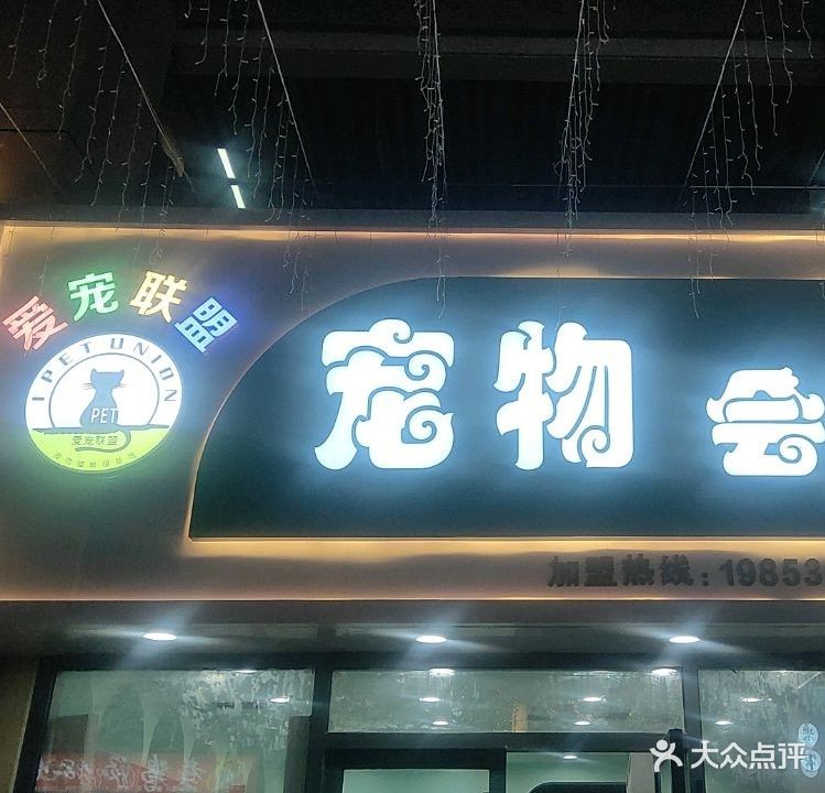 爱宠联盟宠物店
