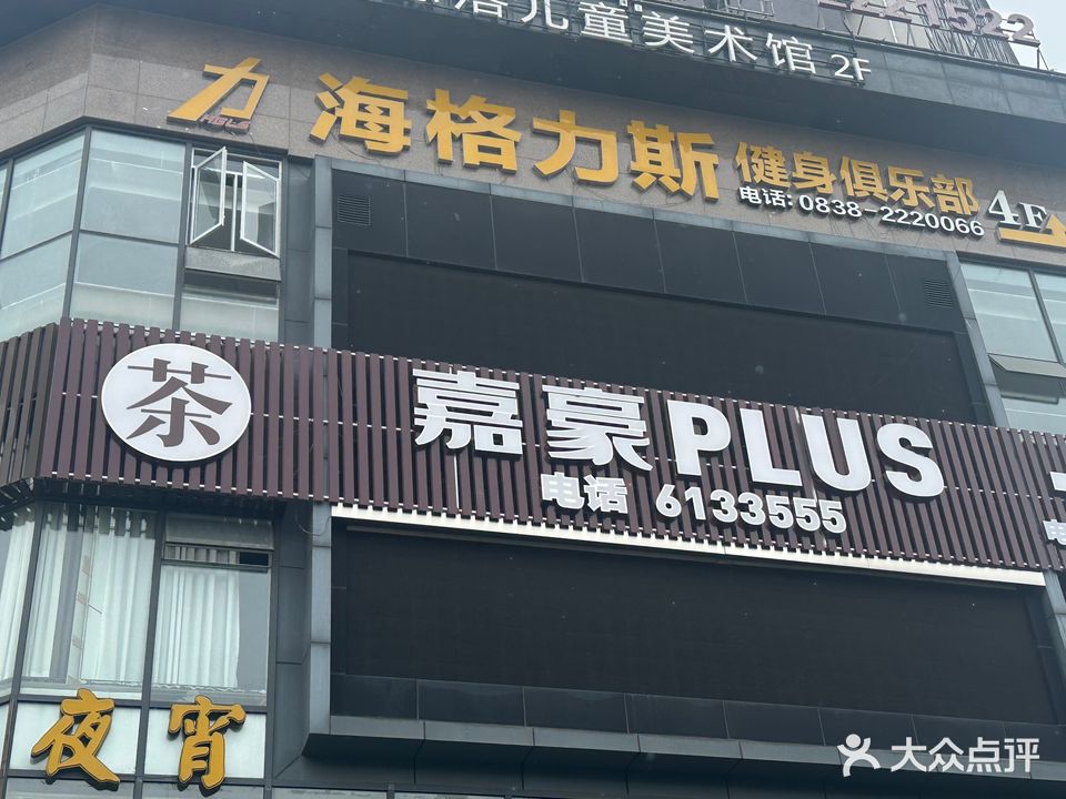 嘉豪PLUS