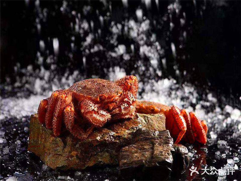 美生海鲜火锅(雷迪森店)