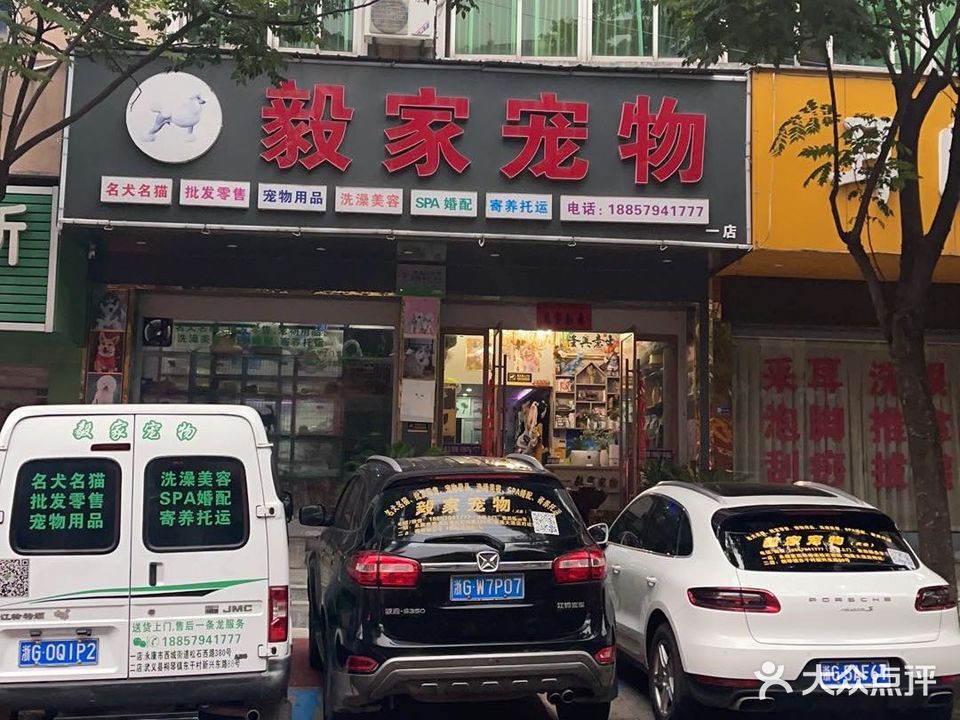 毅家宠物(一店)