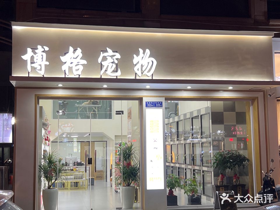 博格宠物(泉秀店)