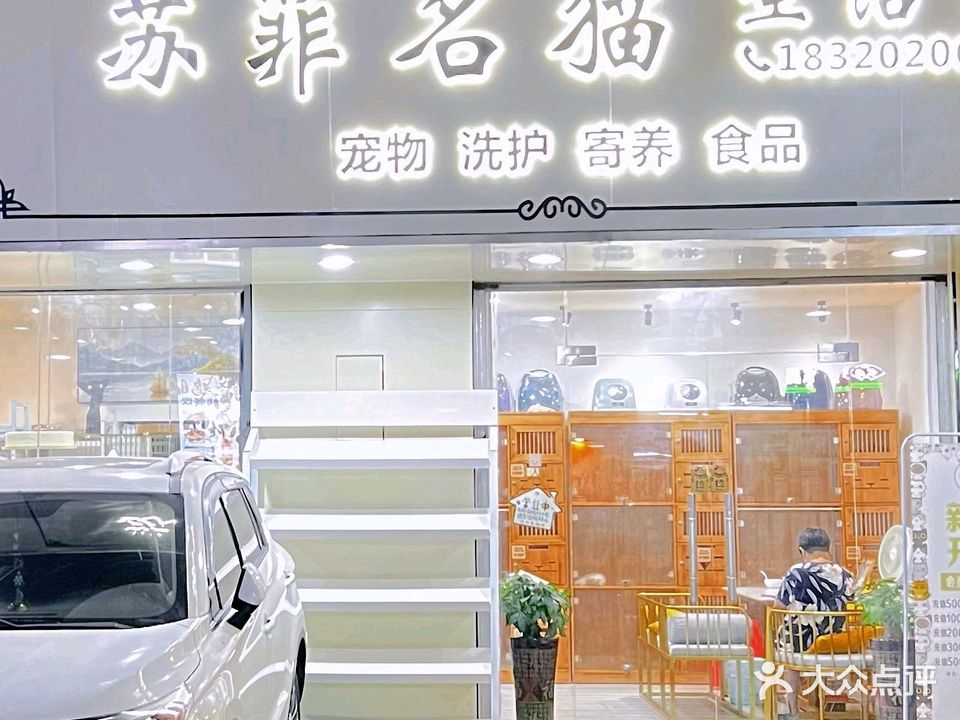 苏菲名猫宠物店