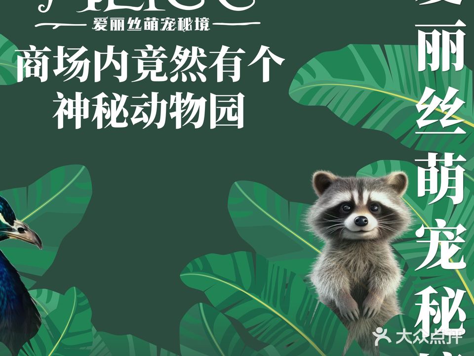 爱丽丝萌宠秘境(蓬江万达店)