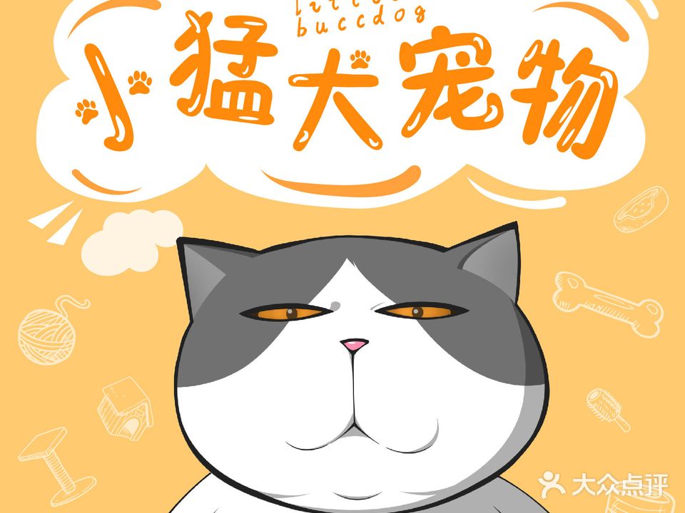 小勐大宠物