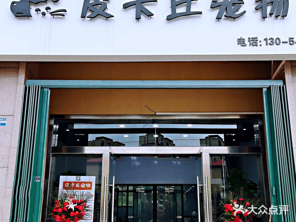皮卡丘宠物(君临苑店)