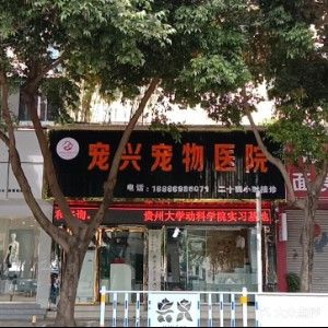 宠性宠物医院