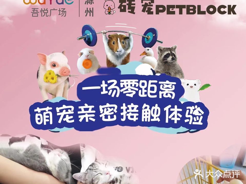 砖宠PETBLOCK(滁州吾悦店)