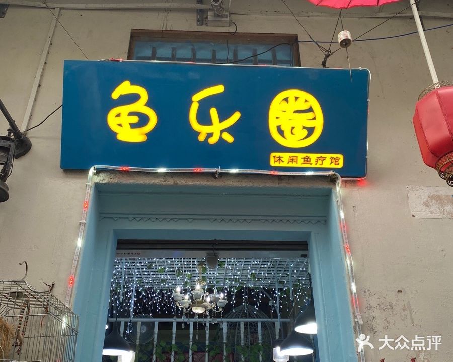 鱼乐圈