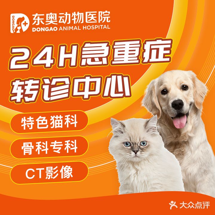 东奥动物医学