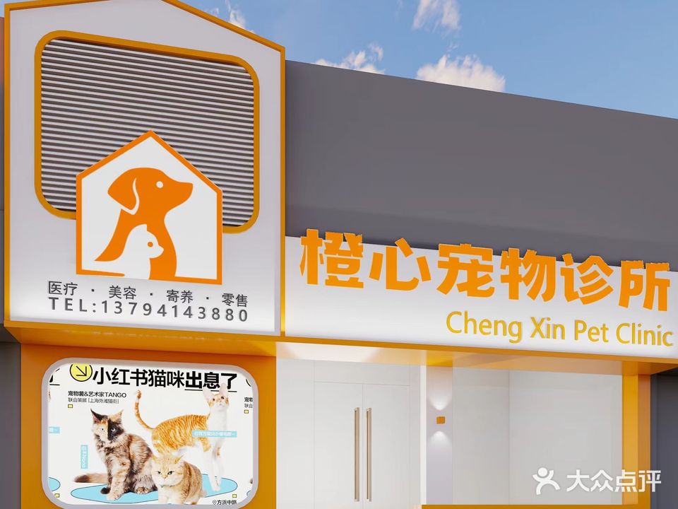 橙心宠物诊所