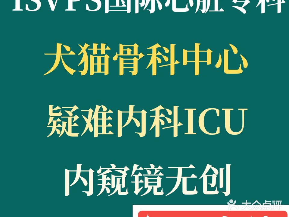 椰宠宠物医院·心脏·疑难骨科· ICU重症(海南省转诊中心)