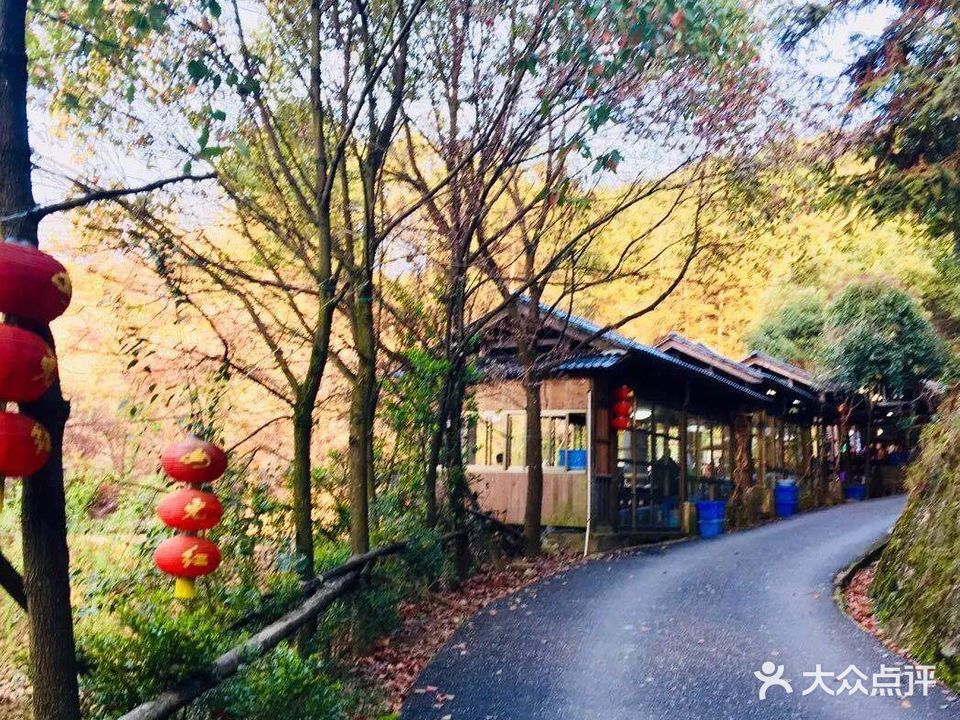 千岛湖林海农庄