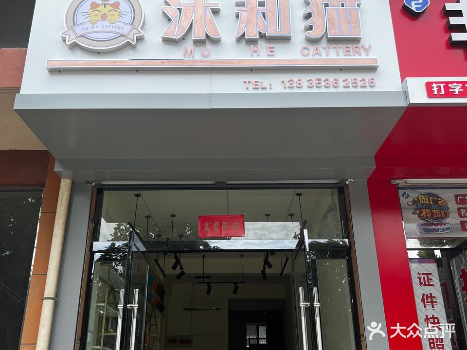 沐和猫