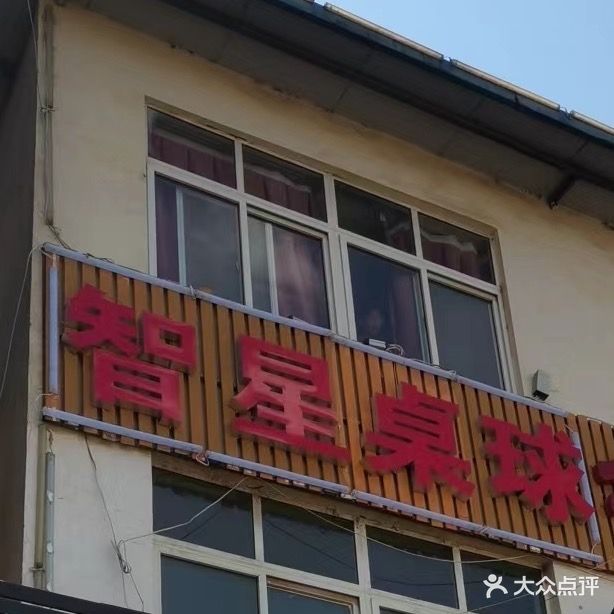 智兴桌球
