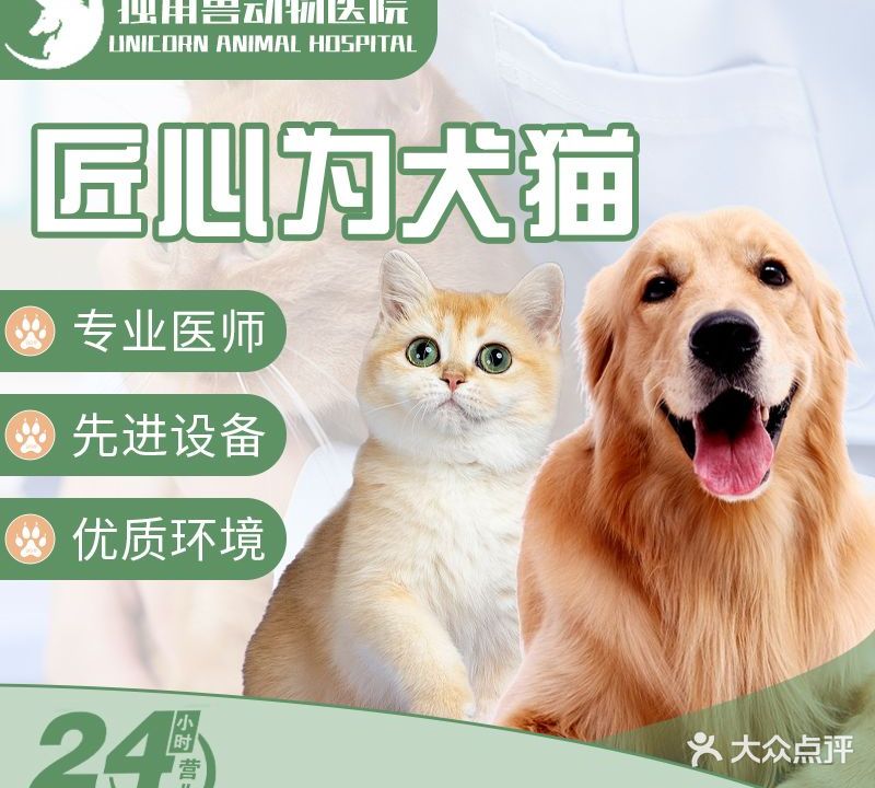 独角兽动物医院