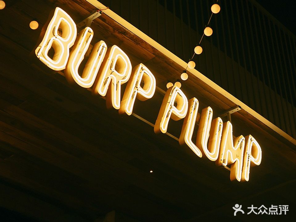 BurpPlump