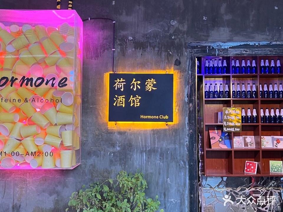 荷尔蒙酒吧(芜湖德盛广场店)