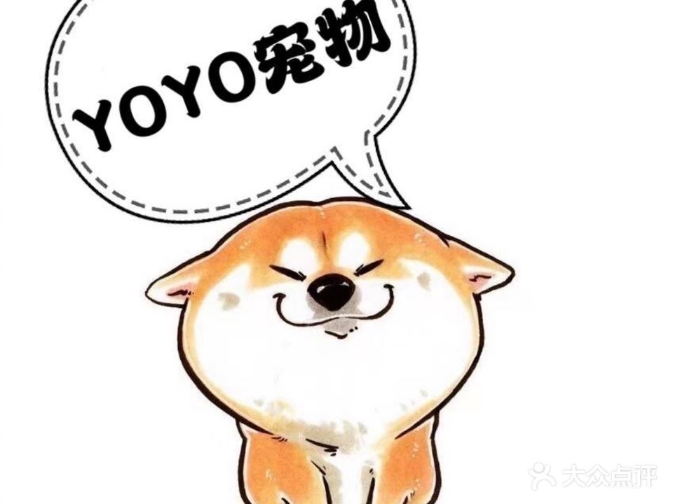 YOYO宠物