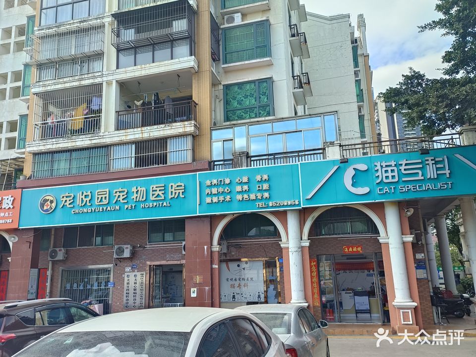 宠悦园宠物医院猫专科兔专科(坪山店)