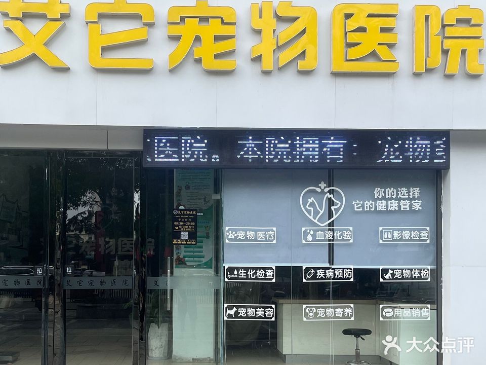 艾它宠物医院(衢州龙游县)