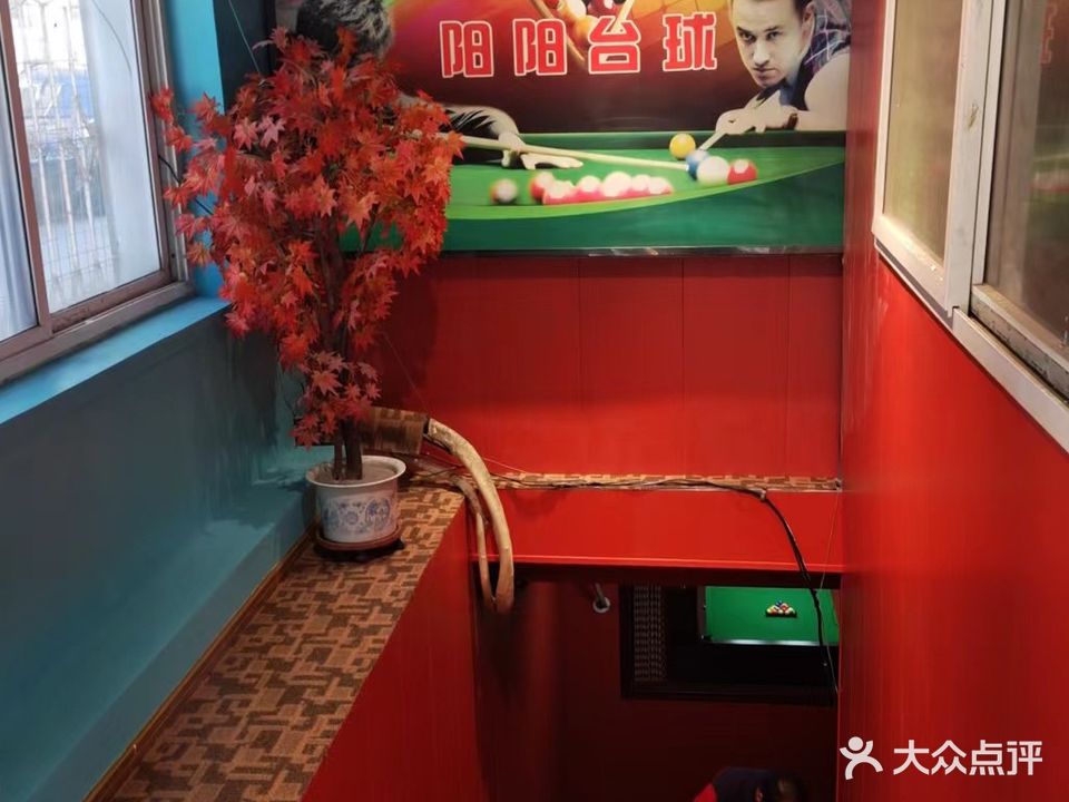 阳阳台球