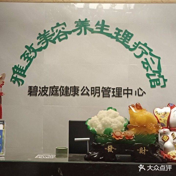 雅致美容养生理疗会馆(胜安商厦店)