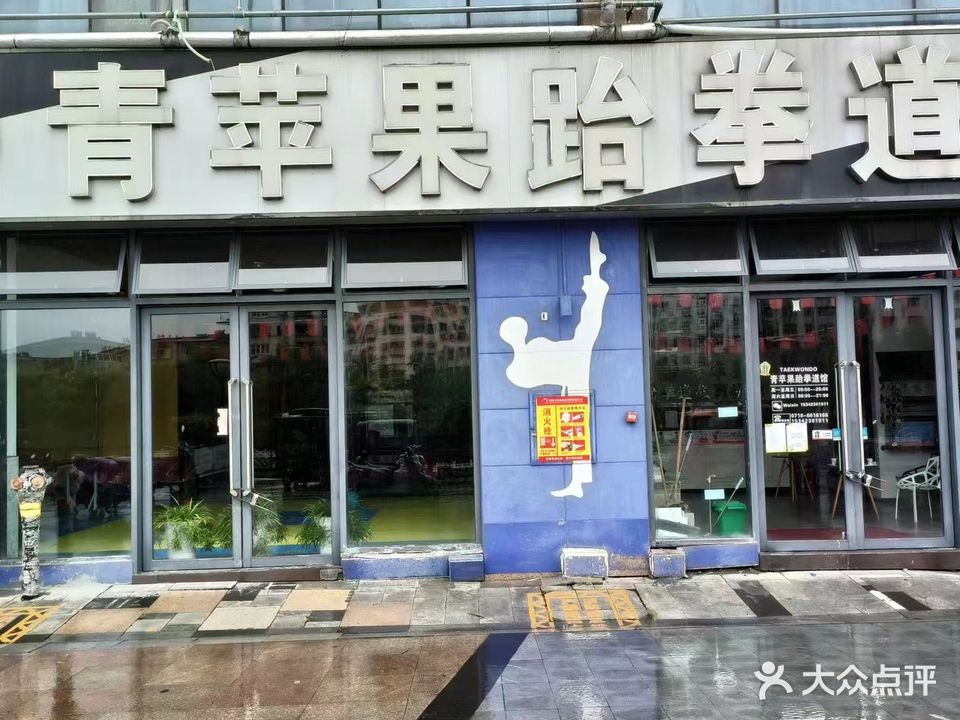 青苹果跆拳道馆(枣阳万象城店)