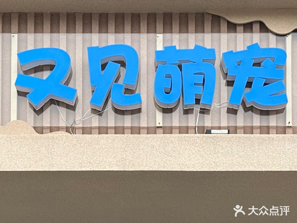 又见萌宠