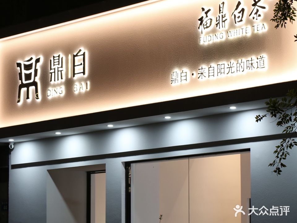 鼎白-福鼎白茶(江北专营店)