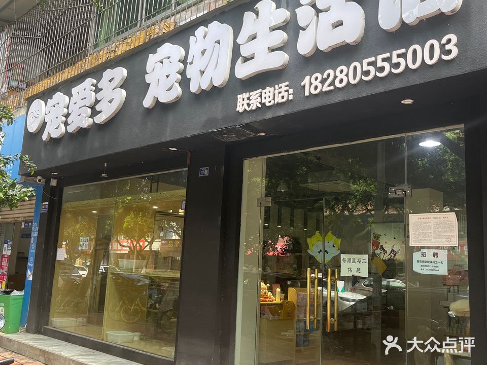 宠爱多