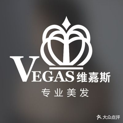 维嘉斯专业美发(招商花园店)