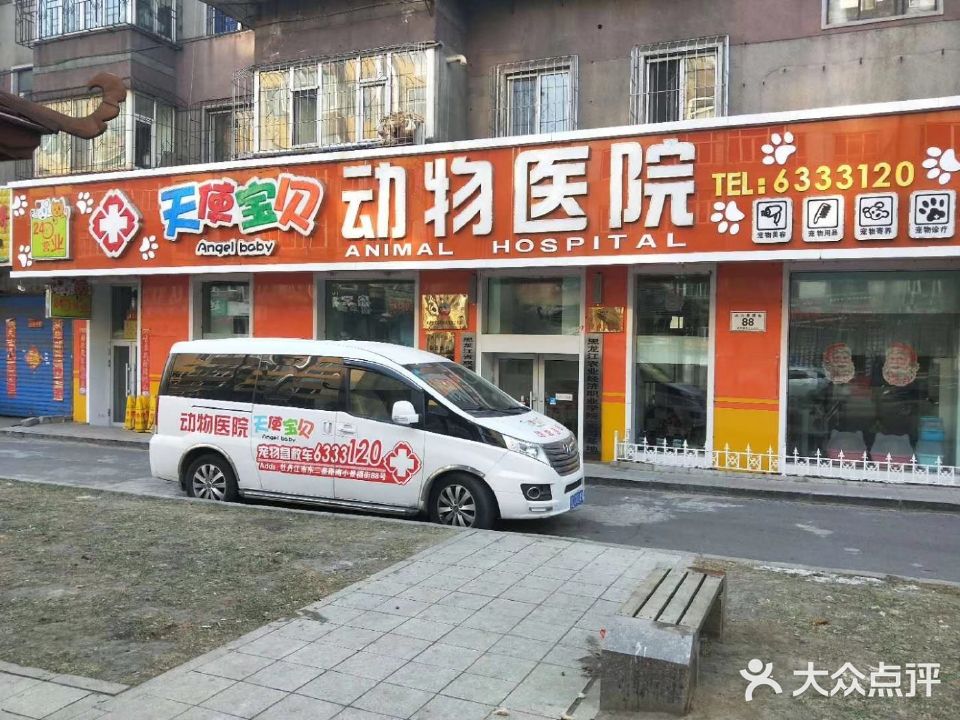 天使宝贝动物医院(东小二条路店)