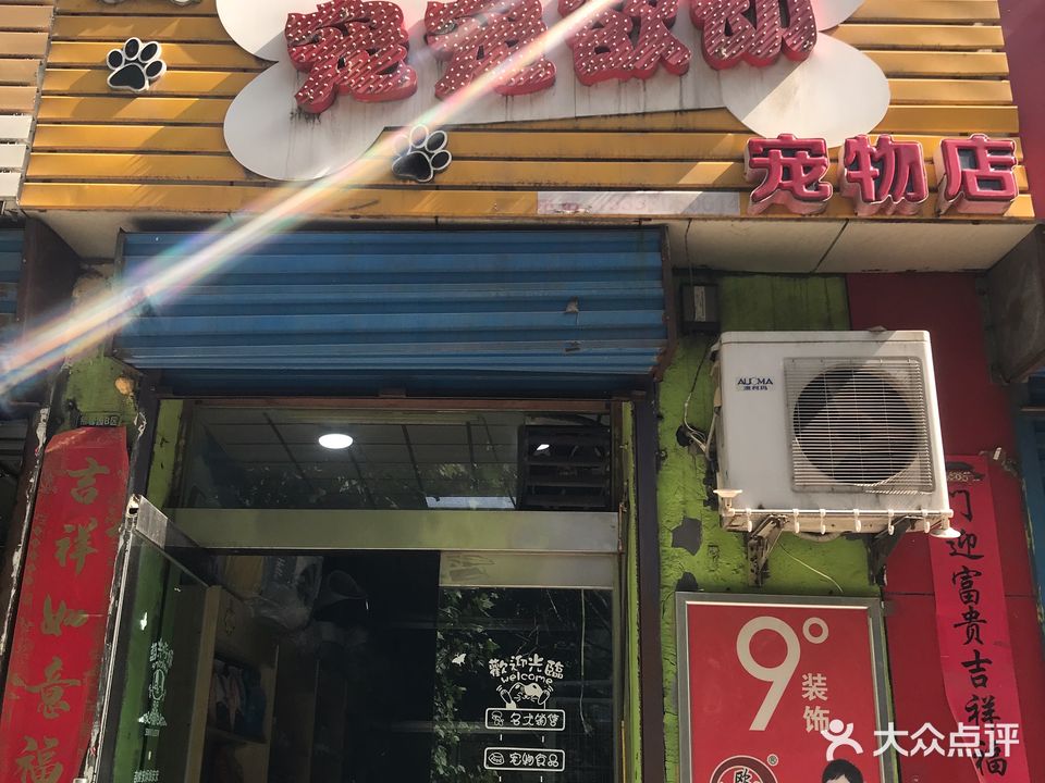 介休宠宠欲动宠物店