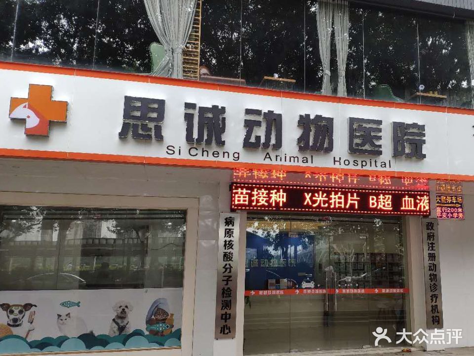 思诚动物医院(沿江路店)