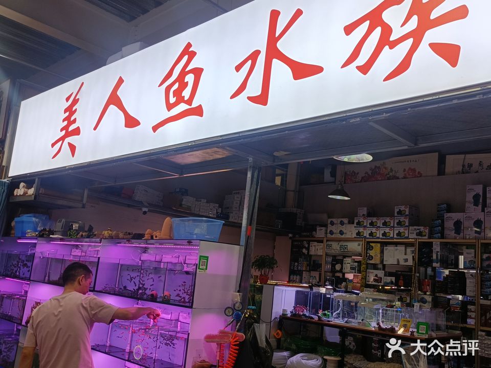 美人鱼水族馆(乌兰察布东街店)