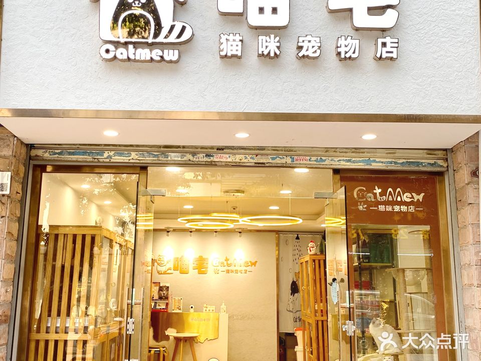 喵宅·猫咪宠物店