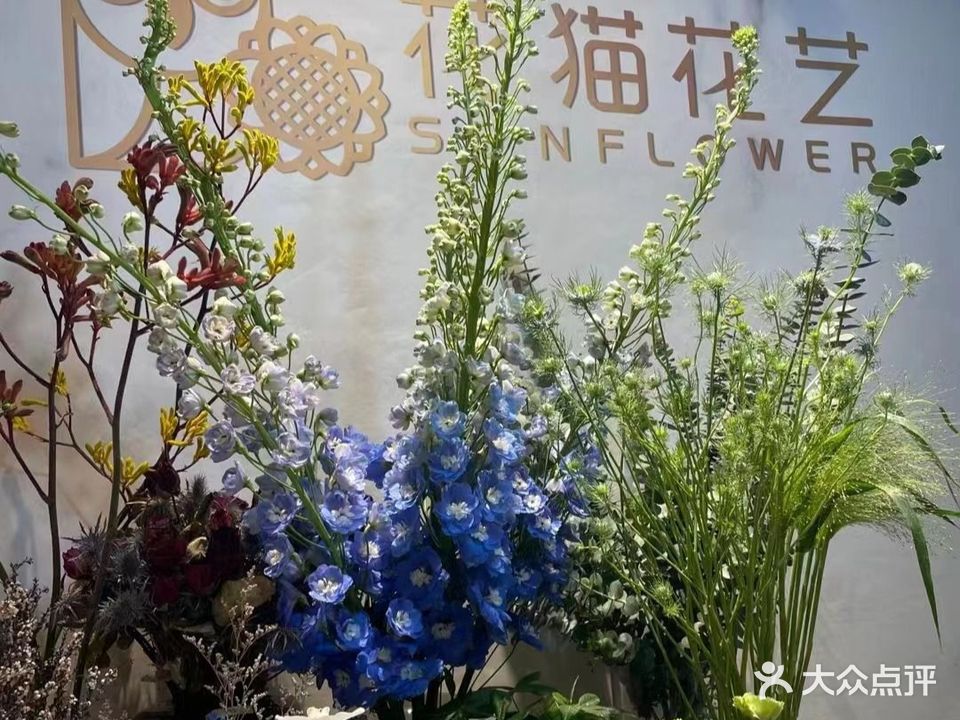 花猫花艺