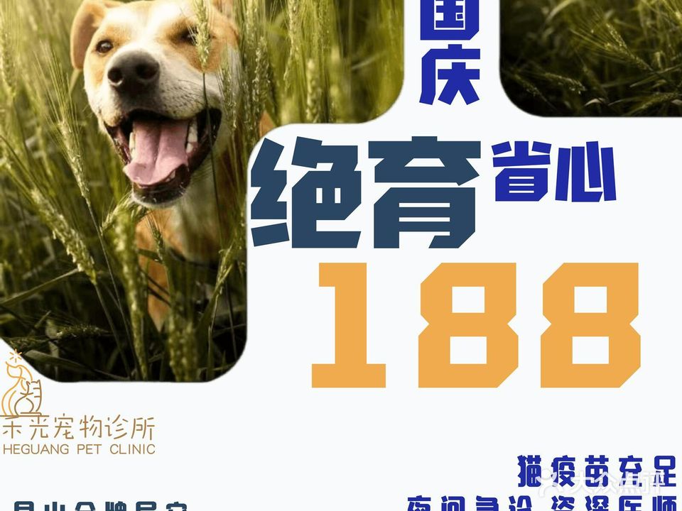 禾光宠物医院犬猫异宠