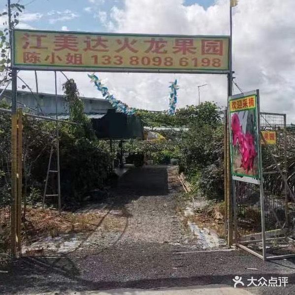 江美达火龙果园