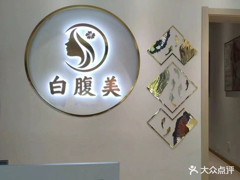 白腹美