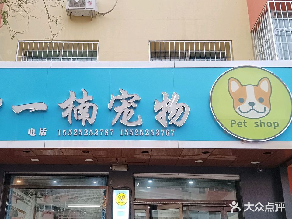 一楠宠物