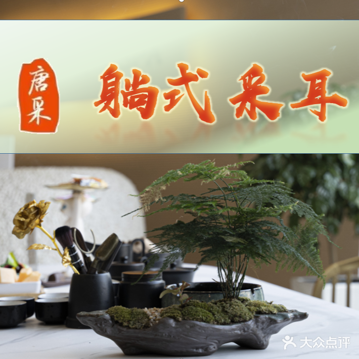 唐采躺式采耳SPA(林荫河畔店)