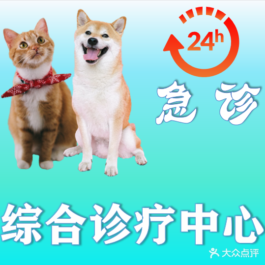 谛宠宠物校医·犬猫全科·中兽医·骨科