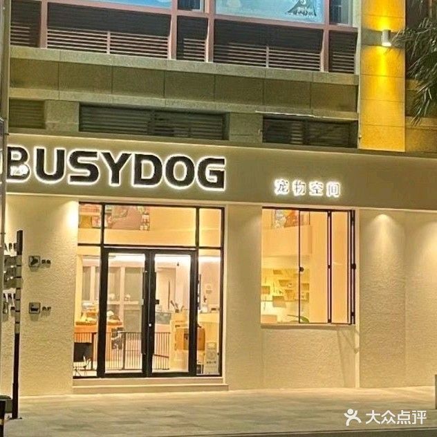 BUSY DOG忙碌的小狗(骏富·富临新天地广场店)